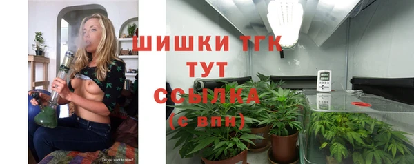 ешки Снежинск