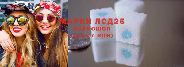 ешки Снежинск