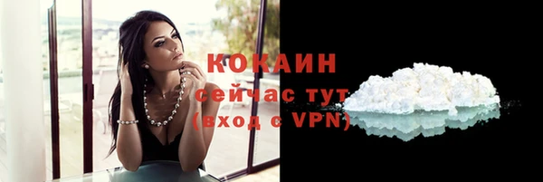 ешки Снежинск
