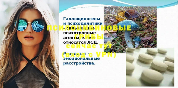 ешки Снежинск